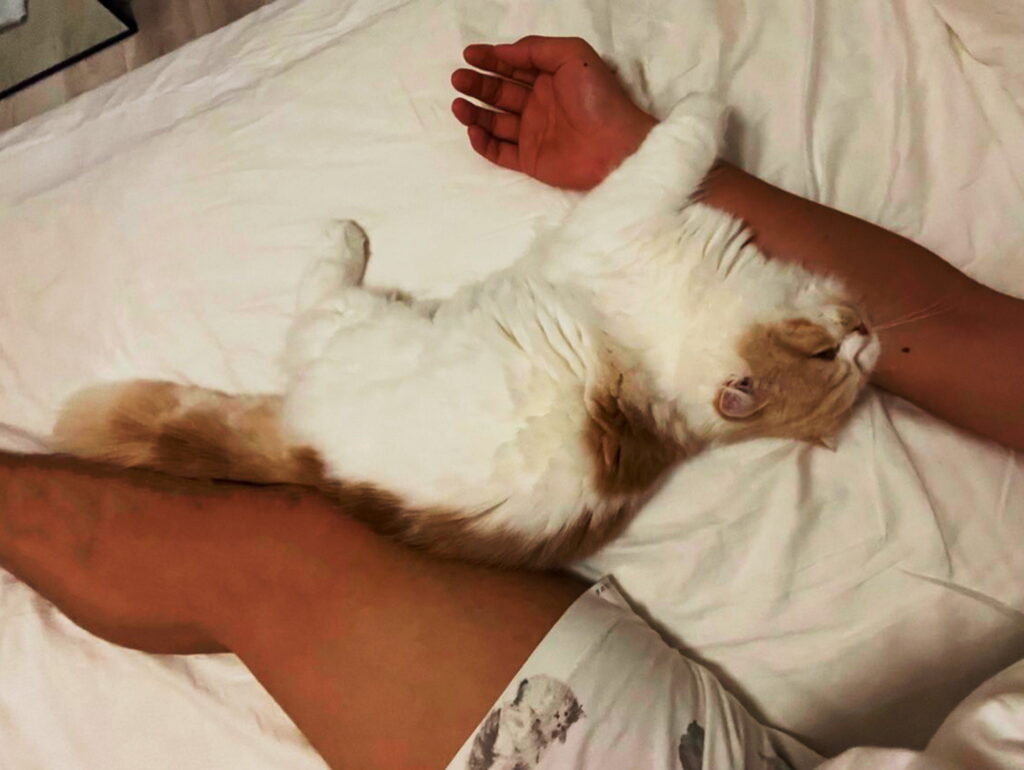 ティモンディ前田 猫 X