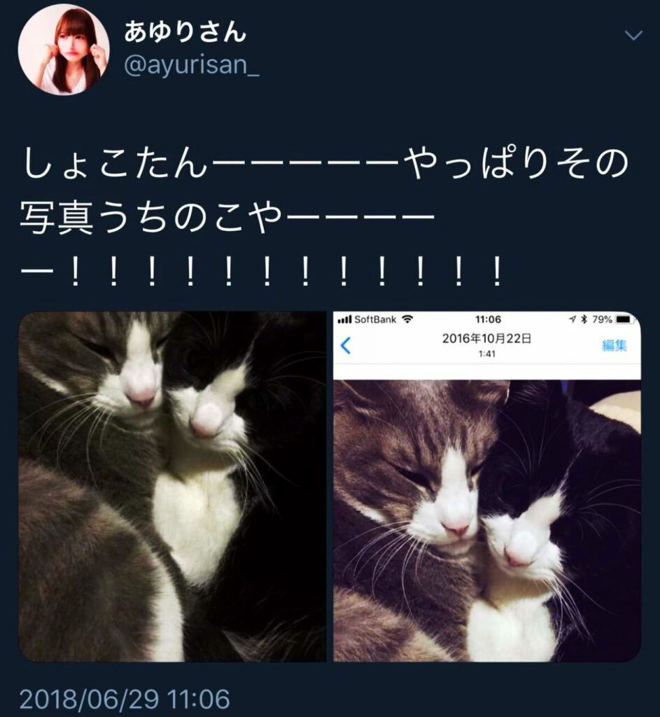 中川翔子 他人猫事件 X