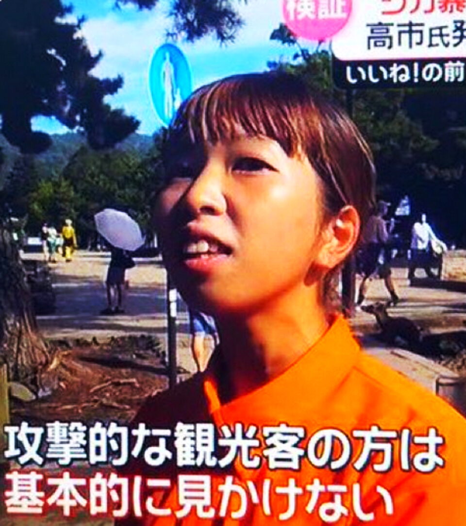 奈良公園 シカ インタビュー ガイド 女性 日テレ