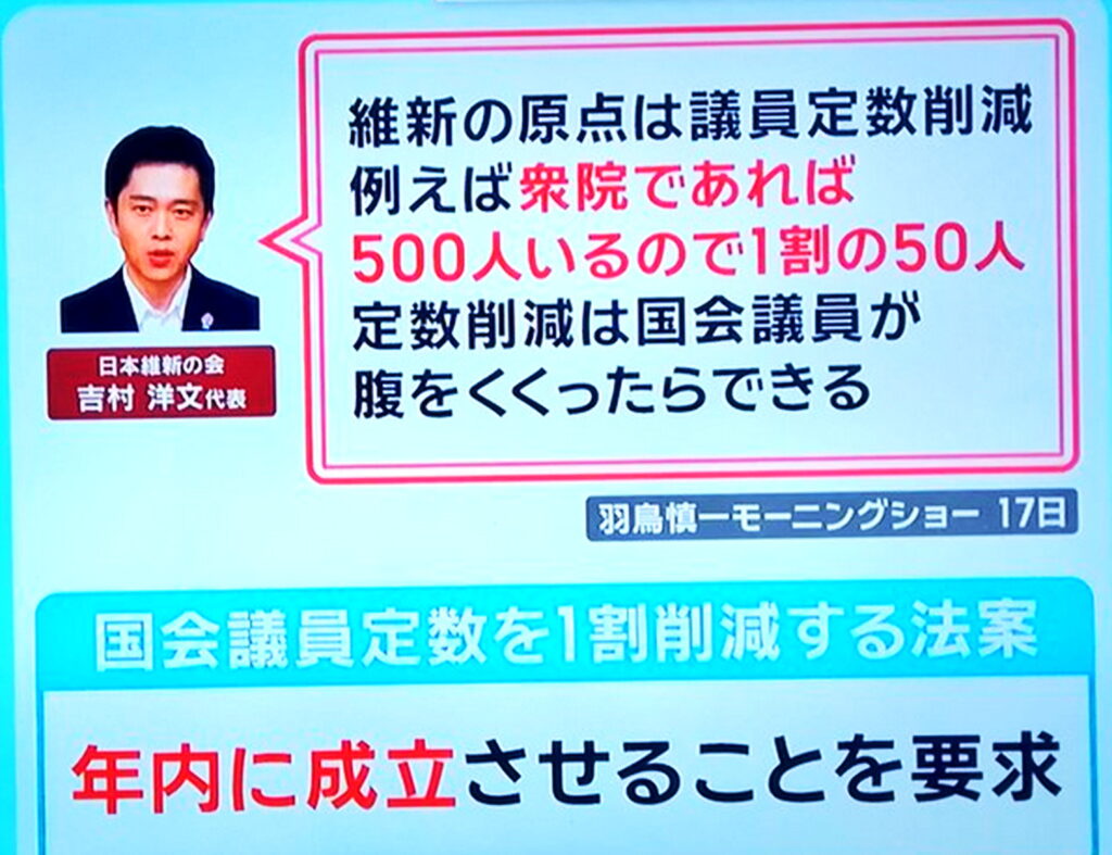 猿田佐世 吉村 出典：モーニングショー